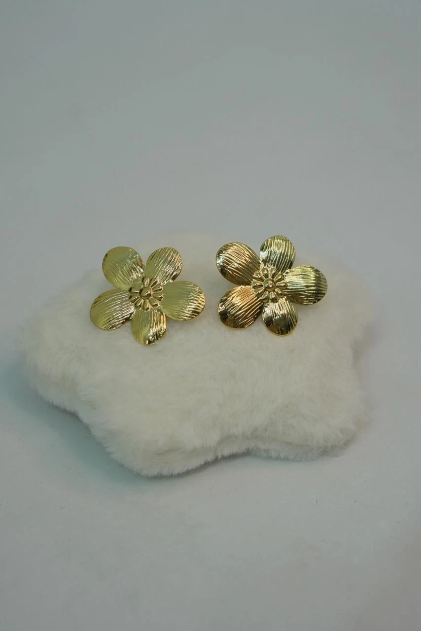 Ladies Earrings-mm338